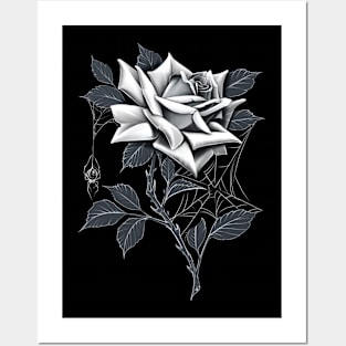 DZE spider rose Posters and Art